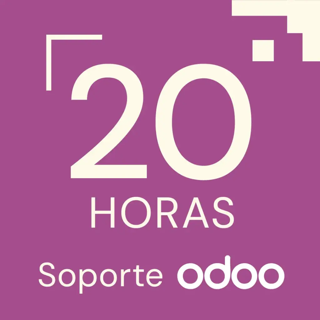 PACK 20 HORAS SOPORTE ODOO 